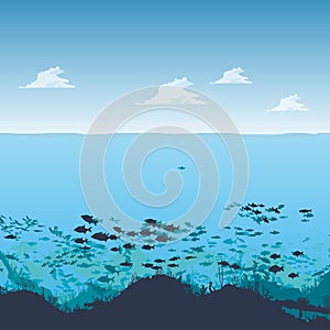 Silhouette of fish and algae on the background of reefs. Underwater ocean scene. Deep blue water, coral reef and underwater plants